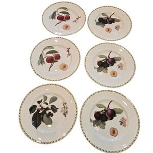 Queen's Hookers Fruit Dinner Plates 10.5" Set of 6 White Bone China Botanical